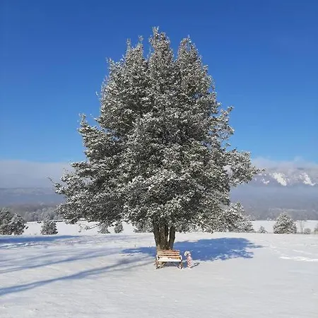Holly Tree Retreat Located In Beautiful Luray, Va. Villa Exterior photo