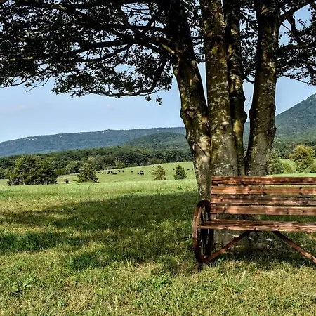 Holly Tree Retreat Located In Beautiful Luray, Va. Villa Exterior photo