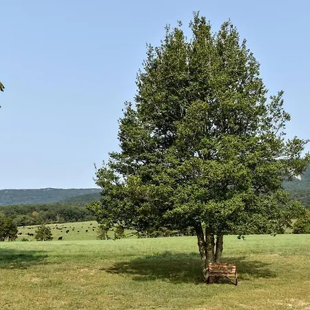 Holly Tree Retreat Located In Beautiful Luray, Va. Villa Exterior photo
