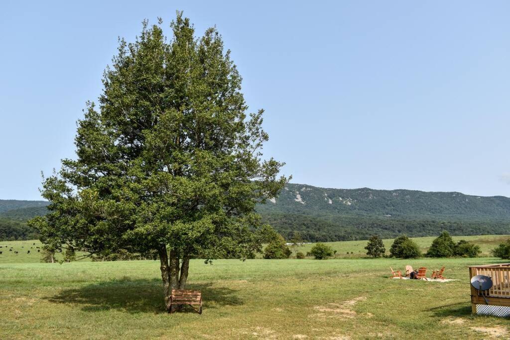 Holiday home Holly Tree Retreat Located In Beautiful Luray, Va. *