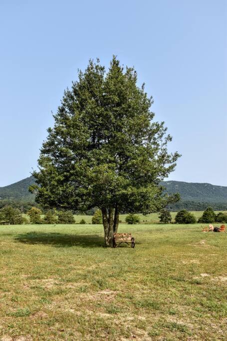 Holly Tree Retreat Located In Beautiful Luray, Va. Luray