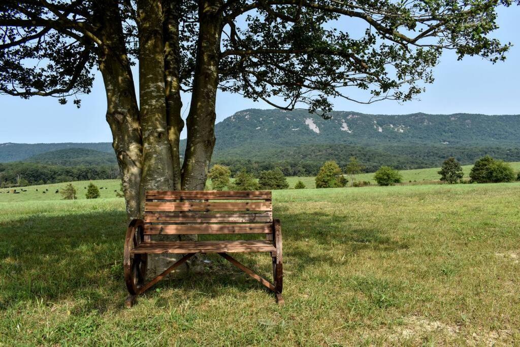 Holly Tree Retreat Located In Beautiful Luray, Va. Holiday home Luray