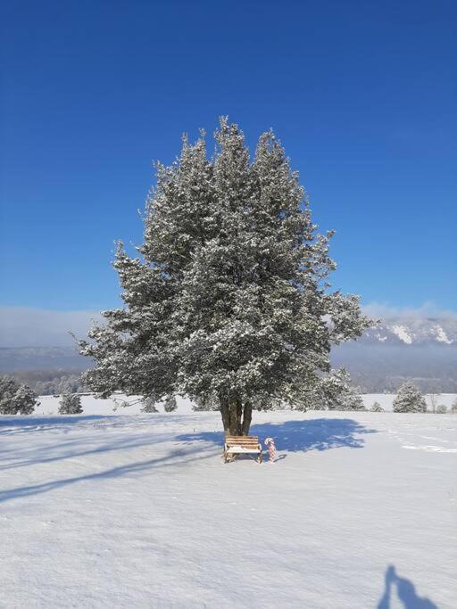Holly Tree Retreat Located In Beautiful Luray, Va. Holiday home *