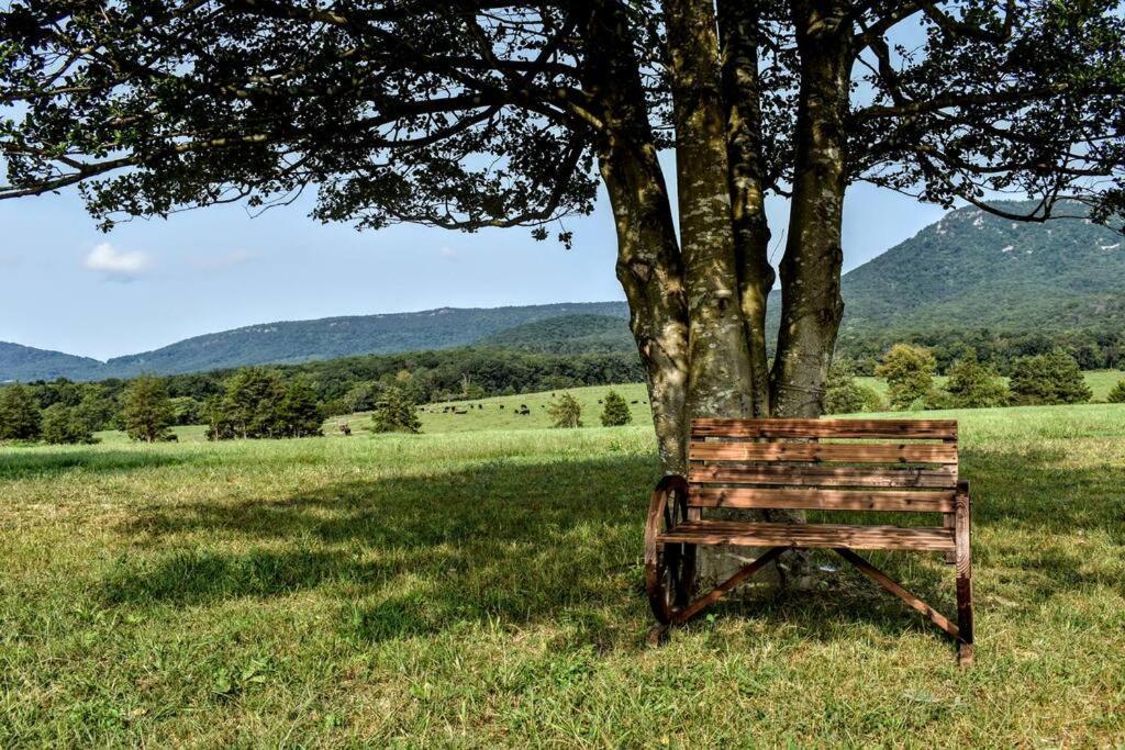 Holly Tree Retreat Located In Beautiful Luray, Va. Luray