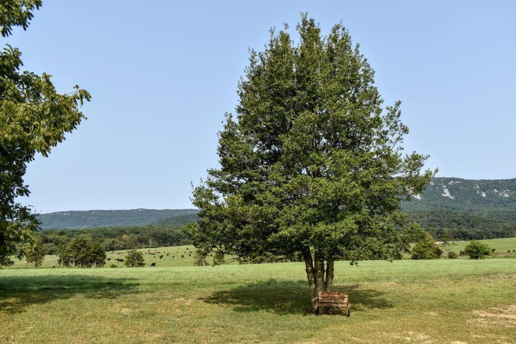 Holly Tree Retreat Located In Beautiful Luray, Va. Holiday home *